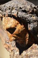 266 Montenegro, Kotor, Kathedrale des Heiligen Tripun, Domschatz