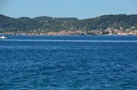 336 Zadar, Delphine vor der Riva