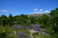 352 Bei Senj unter dem Velebit