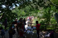 060 Krka Nationalpark