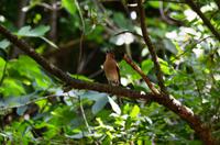 069 Krka Nationalpark