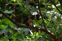 070 Krka Nationalpark