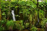 101 NP Plitvicer Seen