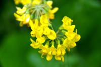 111 NP Plitvicer Seen