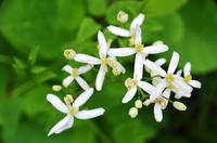 112 NP Plitvicer Seen