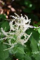 133 NP Plitvicer Seen