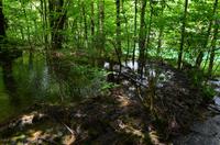 135 NP Plitvicer Seen