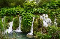 148 NP Plitvicer Seen