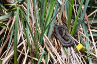 149 NP Plitvicer Seen