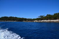 255 Bootsfahrt nach Dubrovnik, Insel Lokrum