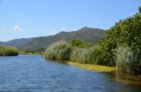 342 Neretvadelta, Bootsfahrt Villa Neratva