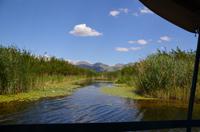 343 Neretvadelta, Bootsfahrt Villa Neratva