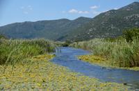 348 Neretvadelta, Bootsfahrt Villa Neratva