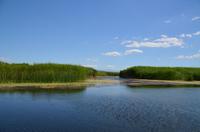 349 Neretvadelta, Bootsfahrt Villa Neratva