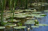 350 Neretvadelta, Bootsfahrt Villa Neratva