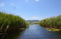 351 Neretvadelta, Bootsfahrt Villa Neratva