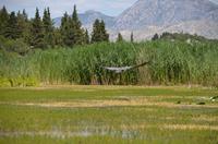 353 Neretvadelta, Bootsfahrt Villa Neratva