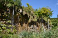 116 Nationalpark Plitvicer Seen