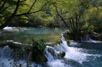 128 Nationalpark Plitvicer Seen