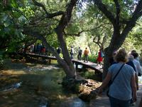 Eberhardt Reisegruppe im Nationalpark 