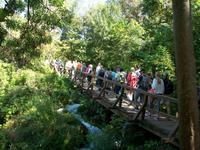Eberhardt Reisegruppe im Nationalpark 
