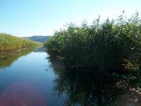 Bootsfahrt auf der Neretva 