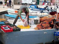 Starigrad (Insel Hvar) 