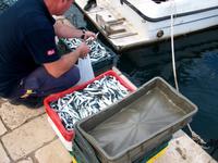 Starigrad (Insel Hvar) 