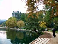 Bled