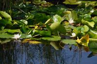 297 Neretvadelta, Bootsfahrt