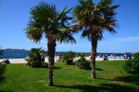 018 Zadar, Neue Riva