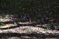 047 Krka Nationalpark