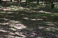 048 Krka Nationalpark