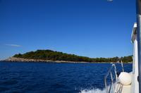 161 Insel Lokrum