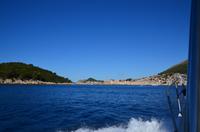 164 Insel Lokrum, Dubrovnik