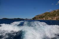 207 Rückfahrt nach Mlini