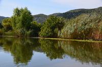 243 Bootsfahrt im Neretvadelta