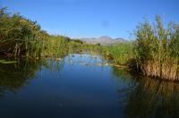 244 Bootsfahrt im Neretvadelta