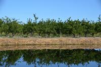 251 Bootsfahrt im Neretvadelta