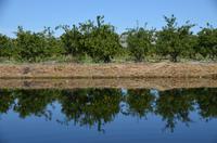 252 Bootsfahrt im Neretvadelta