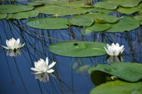 254 Bootsfahrt im Neretvadelta