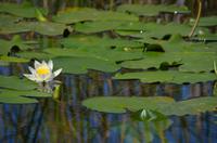 255 Bootsfahrt im Neretvadelta