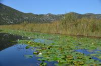 257 Bootsfahrt im Neretvadelta