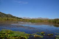 258 Bootsfahrt im Neretvadelta