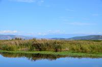 265 Bootsfahrt im Neretvadelta