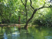 Krka Nationalpark