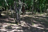 030 Krka Nationalpark