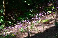 031 Krka Nationalpark