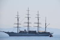 156 Dubrovnik, Cruiser