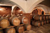 125 Potomje, Weingut Matusco